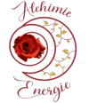 cropped logo couleur.png